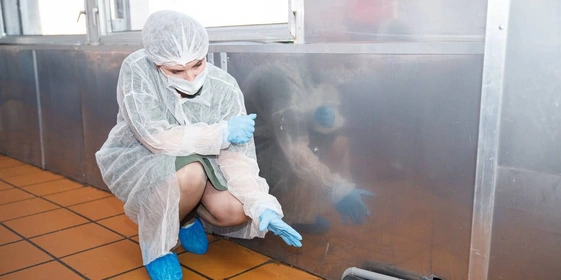 5 главных мифов о&nbsp;готовой кулинарии