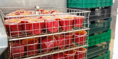 5 главных мифов о готовой кулинарии