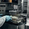 Шоколад по формам разливает специальная машина