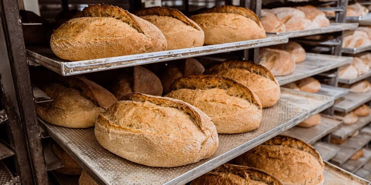 Про хлеб: тартин — деревенский хлеб из&nbsp;Сан-Франциско