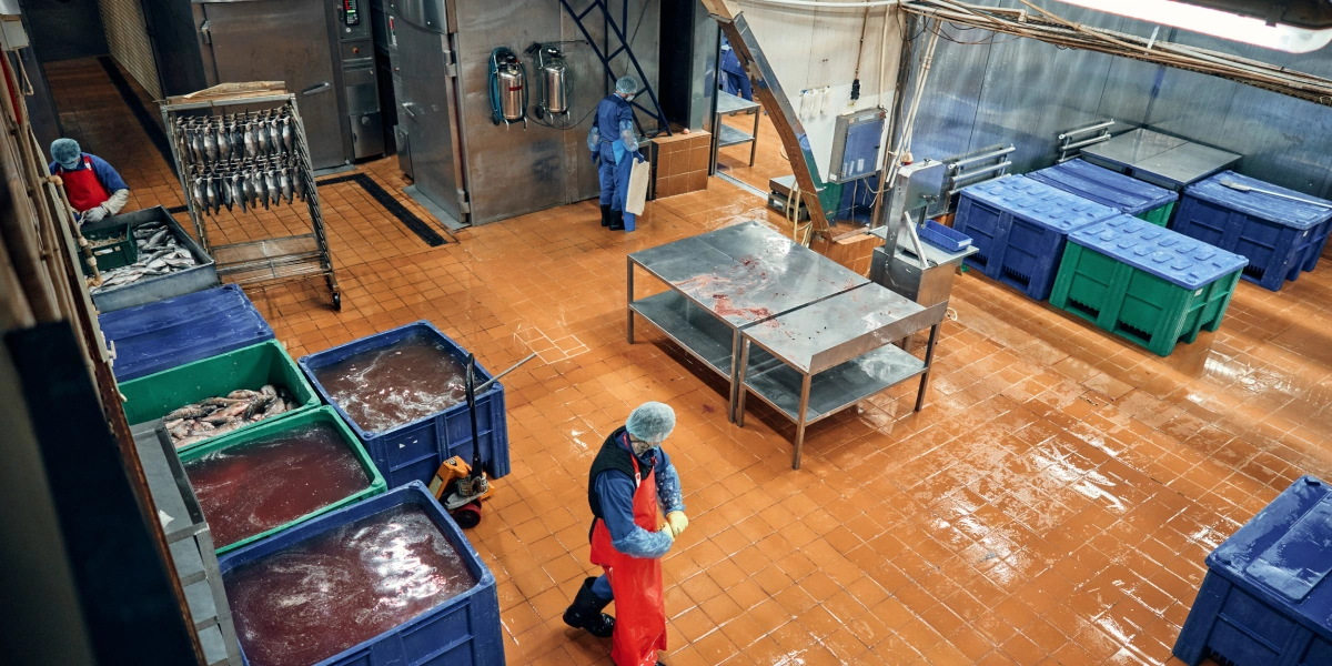 На производстве влажно, но проблем с&nbsp;образование плесени нет. Чистоту контролируют, сдавая в&nbsp;лабораторию смывы. Смывы — это образцы жидкости с&nbsp;микроорганизмами, взятые с&nbsp;поверхностей рук работников, оборудования, столов, спецодежды