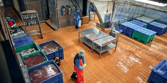 На производстве влажно, но проблем с&nbsp;образование плесени нет. Чистоту контролируют, сдавая в&nbsp;лабораторию смывы. Смывы — это образцы жидкости с&nbsp;микроорганизмами, взятые с&nbsp;поверхностей рук работников, оборудования, столов, спецодежды