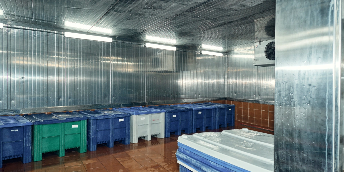 Всю рыбу солят в&nbsp;холодильных камерах при&nbsp;температуре от&nbsp;0 до&nbsp;+4 градусов