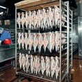При холодном копчении в некоторые виды рыбы вставляют шпонки, чтобы продукт лучше просох изнутри. Затем развешивают гирляндой и направляют в термокамеру