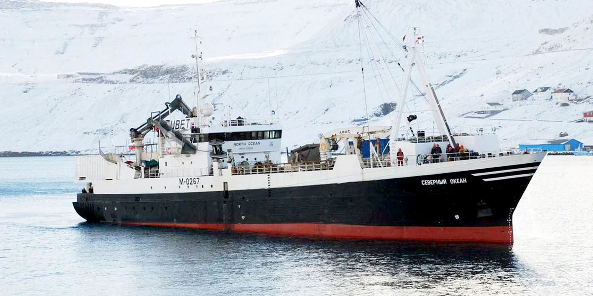 Что за рыба иваси и куда она пропадает на 25 лет