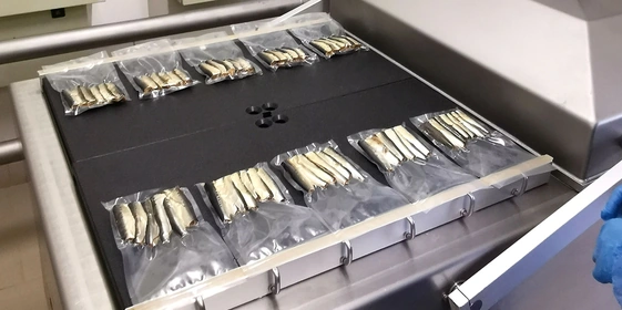 Что за рыба иваси и куда она пропадает на 25 лет