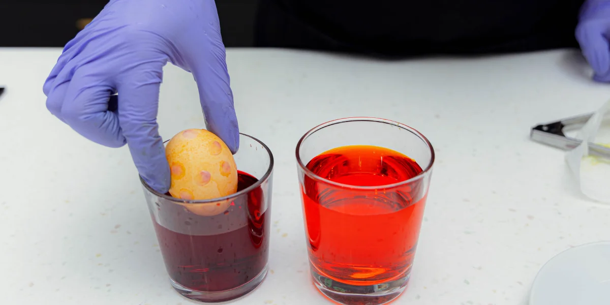 Как покрасить яйца натуральными красителями: пошаговые инструкции с фото