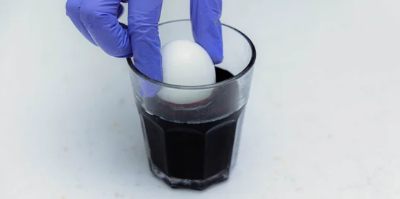 Как покрасить яйца натуральными красителями: пошаговые инструкции с фото