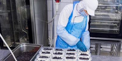 Начинку готовят из замороженных ягод или фруктов. Ягоды размораживают и выкладывают ровным слоем на творожную массу. Яблоки и груши сначала варят в котле, а затем уже распределяют слоями