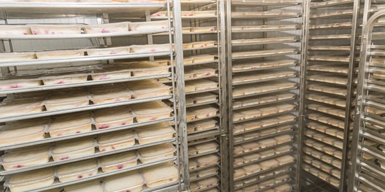 После приготовления запеканку оставляют в&nbsp;морозильной камере на&nbsp;два часа. В&nbsp;ней продукт быстро остывает до&nbsp;2°, что замедляет процесс размножения бактерий и&nbsp;увеличивает срок жизни запеканки