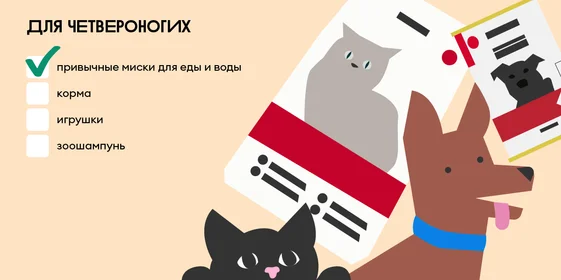 Дачный чек-лист: что взять для комфортного отдыха за городом
