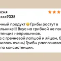 Что такое эноки, эринги, шиитаке и как их готовить