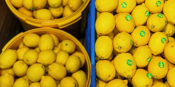 Для лимонного сорбета сначала готовят сок, выжимая его из свежих лимонов