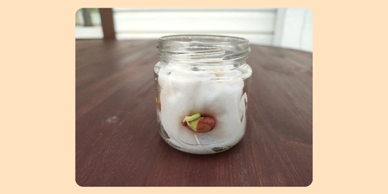 Экохобби вместо&nbsp;психолога: зачем горожанину грядки 