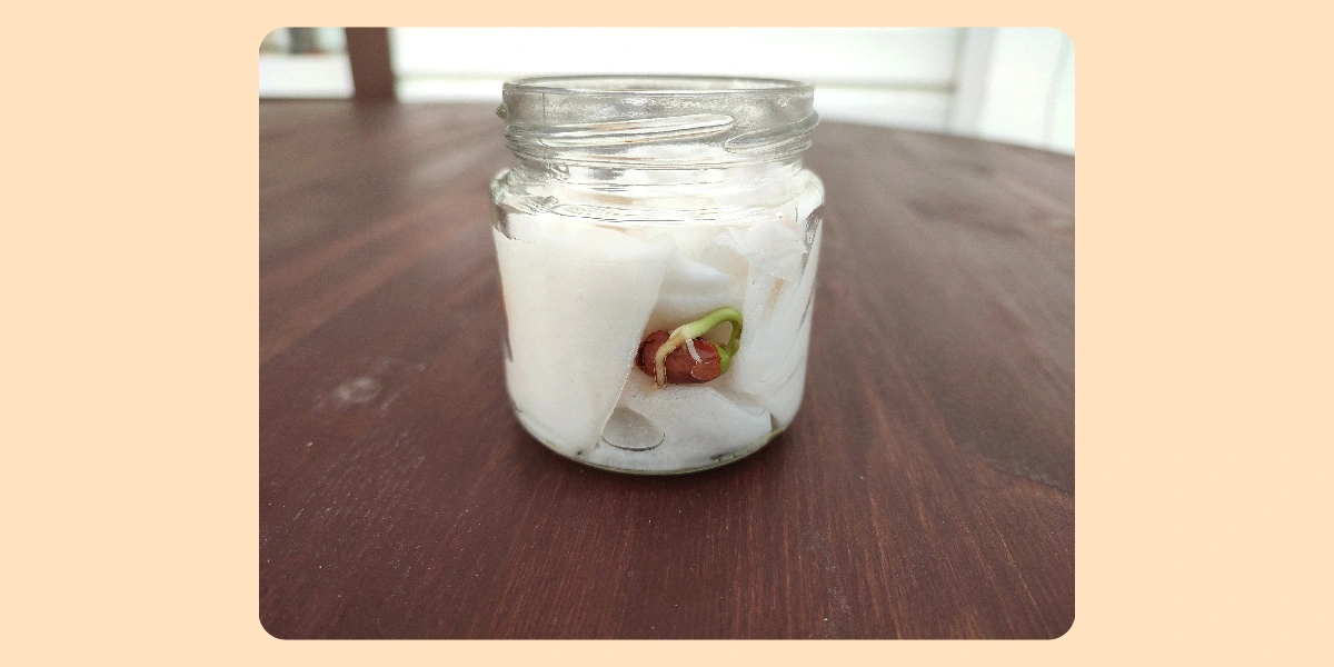 Экохобби вместо&nbsp;психолога: зачем горожанину грядки 