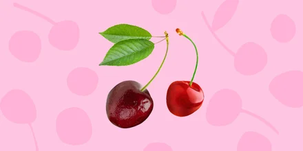 Чем отличается вишня от черешни