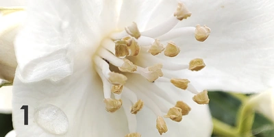 Экохобби вместо&nbsp;психолога: зачем горожанину грядки 