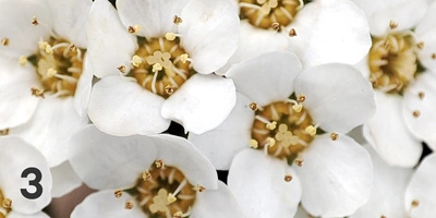 Экохобби вместо&nbsp;психолога: зачем горожанину грядки 