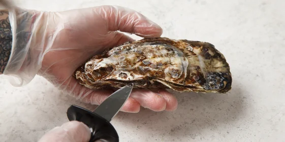 Найдите впадинку 