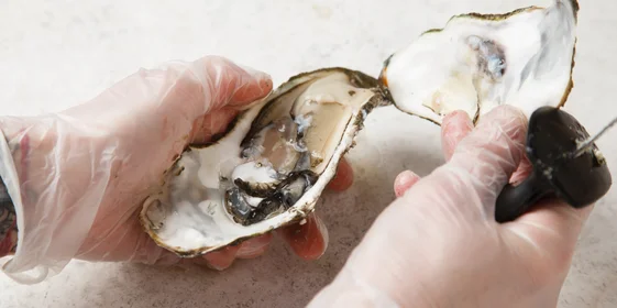 Аккуратно уберите верхнюю створку, чтобы не расплескать «устричный ликёр» 