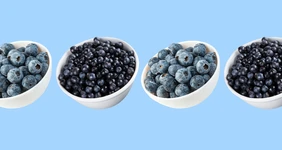 Черника vs голубика: чем отличаются, что полезнее и почему