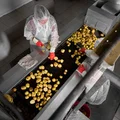 После мойки сотрудницы отбирают картофель, не соответствующий стандарту