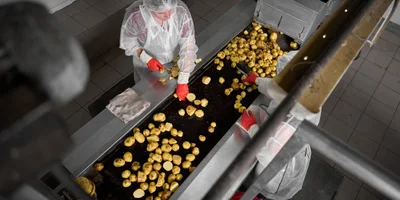 После мойки сотрудницы отбирают картофель, не соответствующий стандарту
