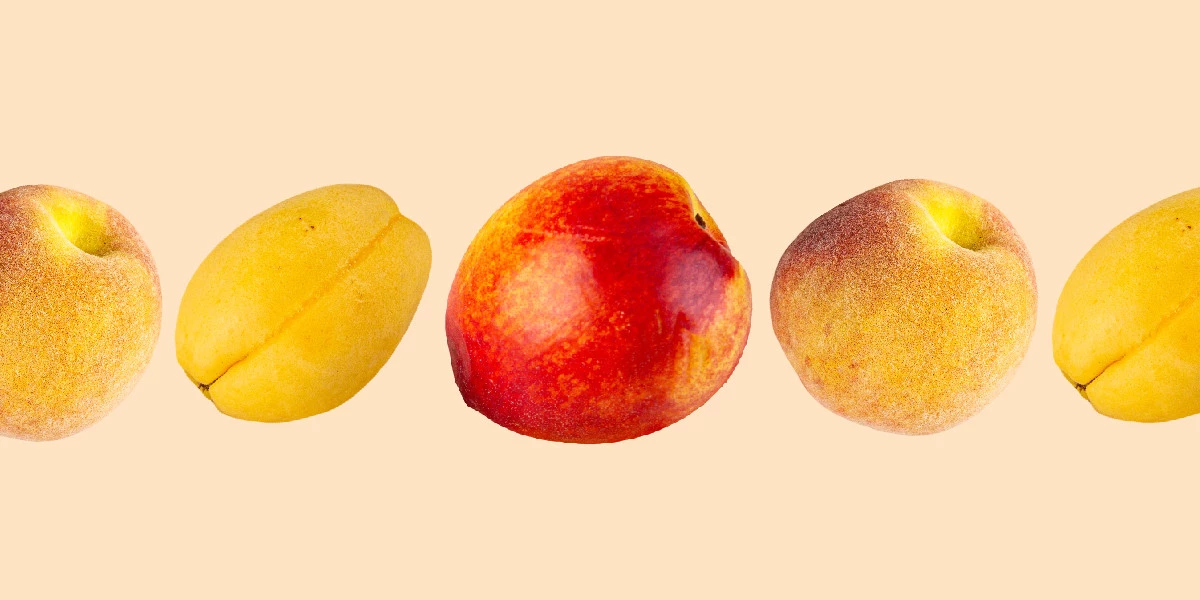 В чём разница между абрикосом, персиком и нектарином