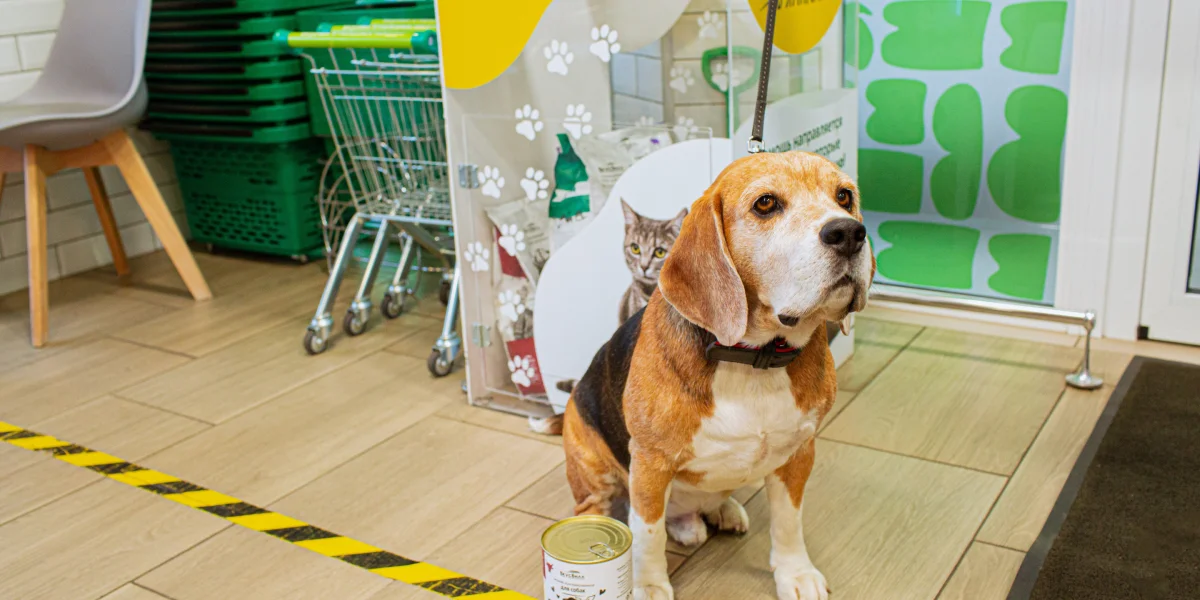 Боксы «Помощь животным» — теперь во ВкусВилле