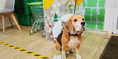 Боксы «Помощь животным» — теперь во ВкусВилле