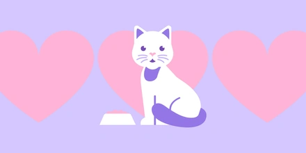 Боксы «Помощь животным» — теперь во ВкусВилле