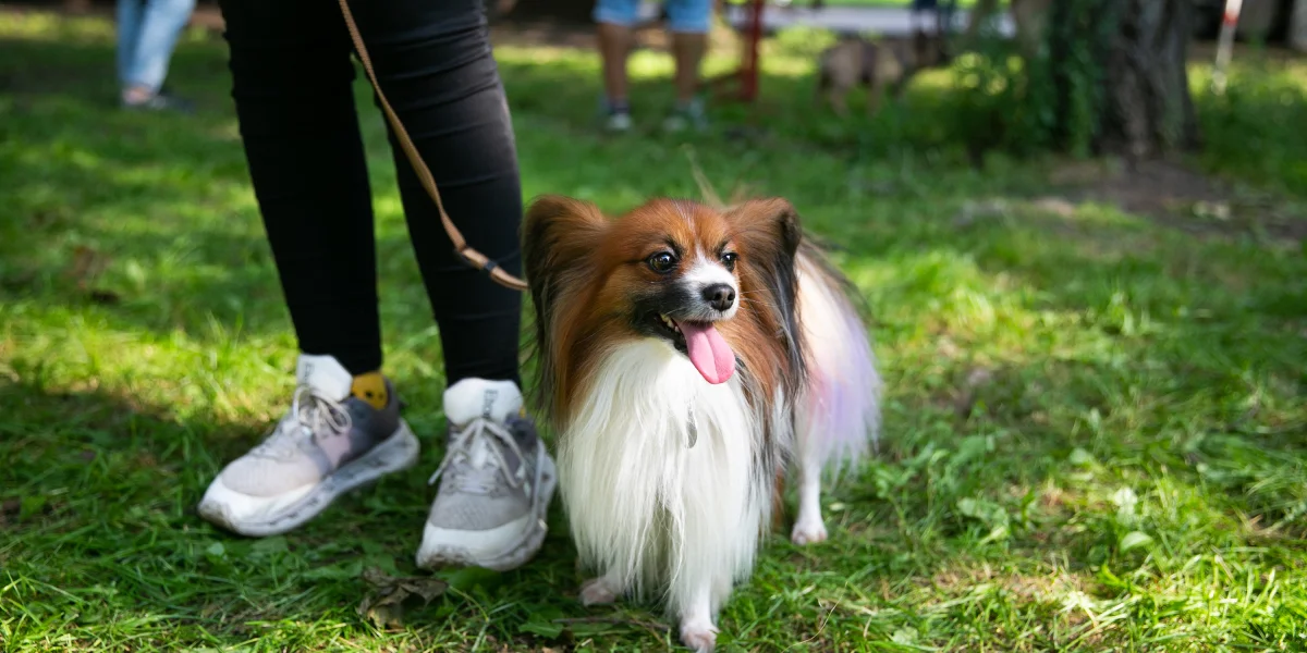 Как прошёл «Фест Ест – 2023» – в фотографиях и цифрах