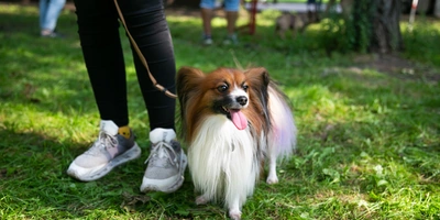 Как прошёл «Фест Ест – 2023» – в&nbsp;фотографиях и&nbsp;цифрах