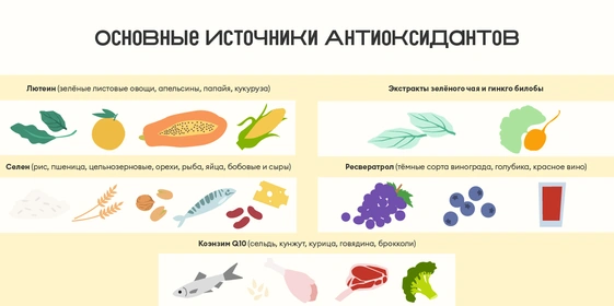 Что такое антиоксиданты и&nbsp;действительно ли они так полезны