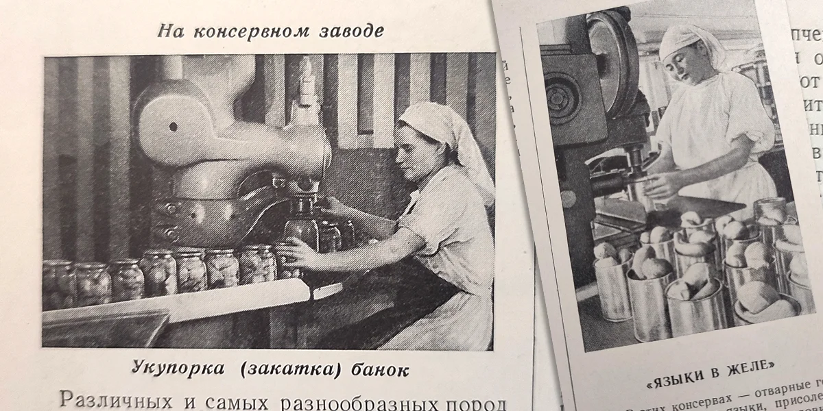 Первое, второе и компот: как сложилась формула обеда и что говорит нутрициолог