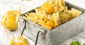 Что такое физалис и как его едят