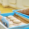 Пышная, сырная и с леопардовым бортом: как производят замороженную неаполитанскую пиццу