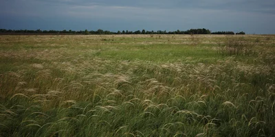 Здесь и далее фото из личного архива, предоставленные автором, Романом Солоповым