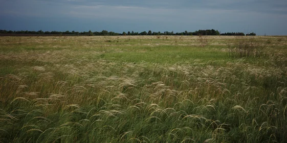 Здесь и далее фото из личного архива, предоставленные автором, Романом Солоповым