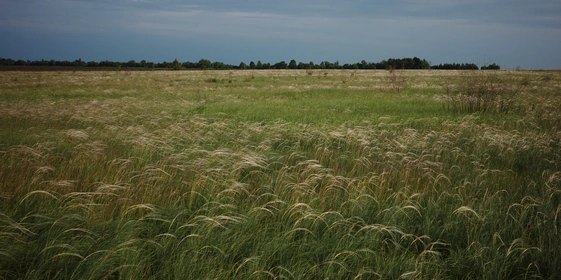 Здесь и&nbsp;далее фото из&nbsp;личного архива, предоставленные автором, Романом Солоповым