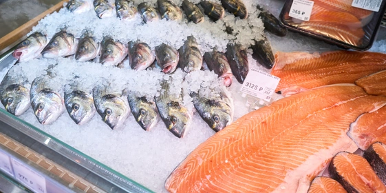 Гид по&nbsp;моллюскам: чем отличаются, как выбрать и&nbsp;приготовить