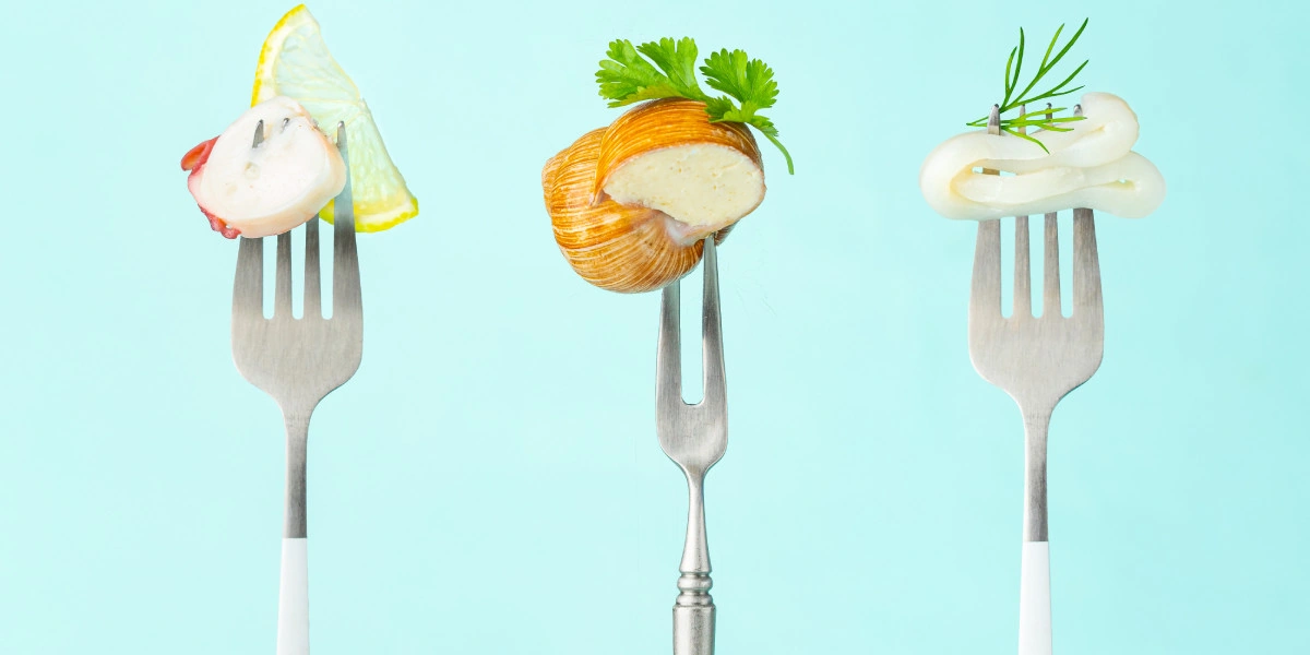 Гид по&nbsp;моллюскам: чем отличаются, как выбрать и&nbsp;приготовить