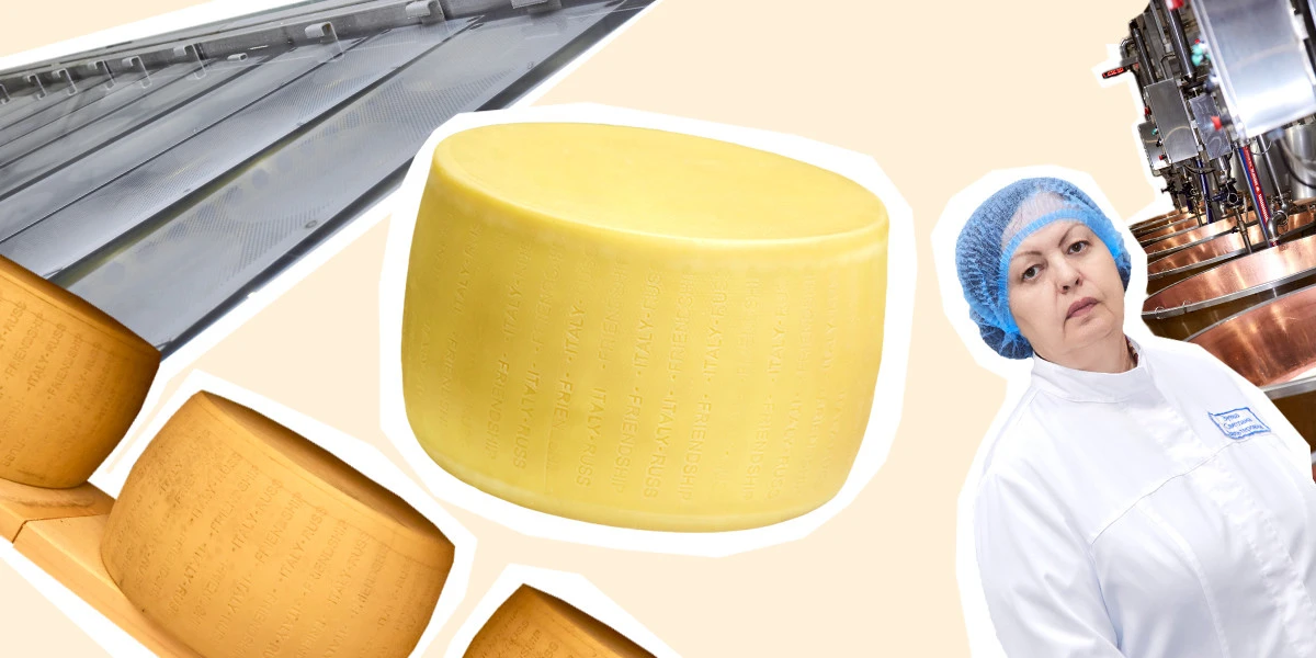 Как долго зреет сыр и почему он так пахнет: репортаж с производства