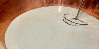 Как долго зреет сыр и почему он так пахнет: репортаж с производства