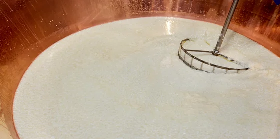 Как долго зреет сыр и почему он так пахнет: репортаж с производства