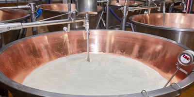 Как долго зреет сыр и почему он так пахнет: репортаж с производства