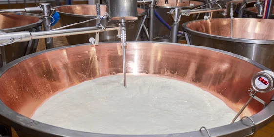 Как долго зреет сыр и почему он так пахнет: репортаж с производства