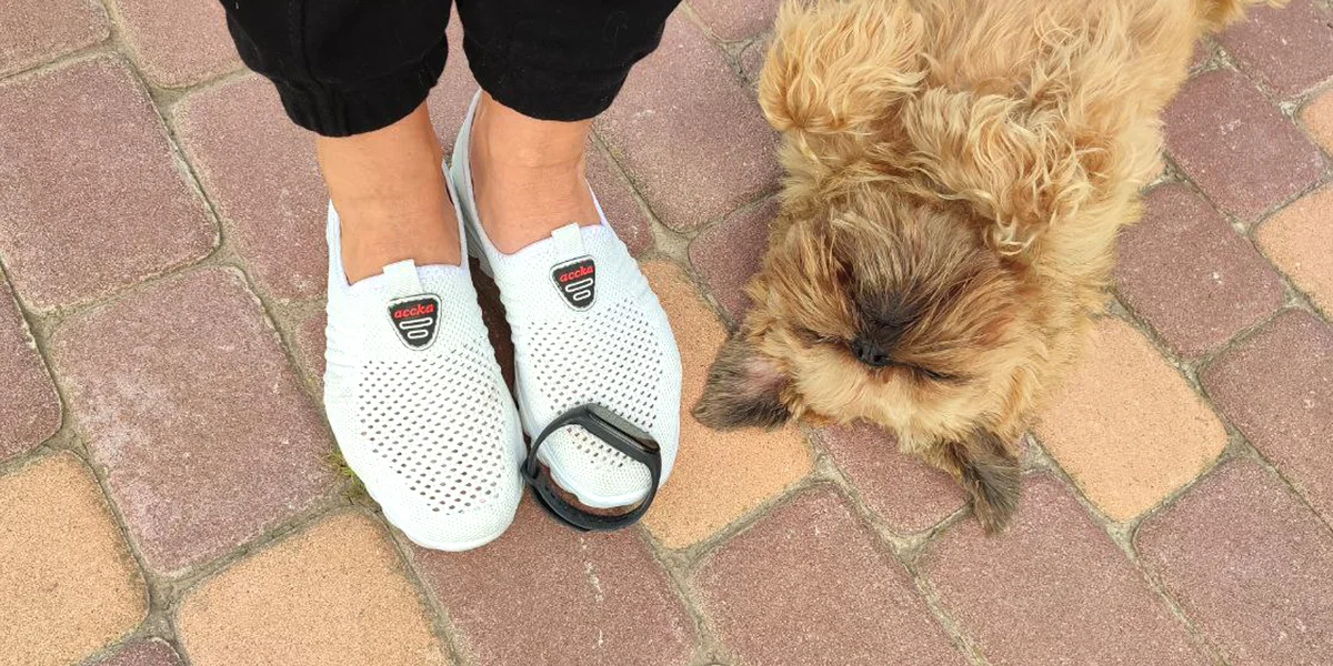 «Ни дня без прогулки и отказ от лифта»: новый ЗОЖ-эксперимент редакции