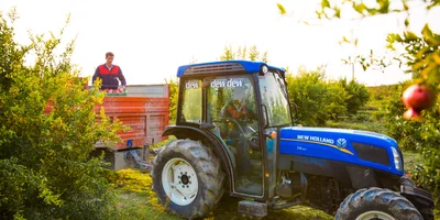 Великий соковый путь: почему гранатовый сок везут в Москву из Азербайджана