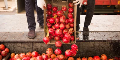 Великий соковый путь: почему гранатовый сок везут в Москву из Азербайджана